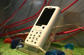 5號館聯(lián)想產(chǎn)品秀 2005年中國國際通信設(shè)備技術(shù)展的機(jī)械設(shè)備租賃亮點(diǎn)